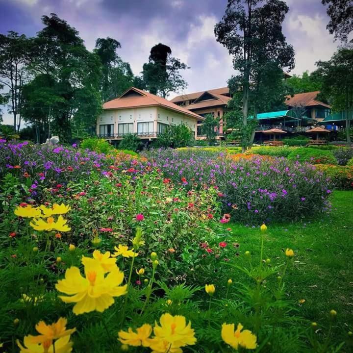 Arayana Phupimarn Resort & Spa Пак-Чонг Екстер'єр фото